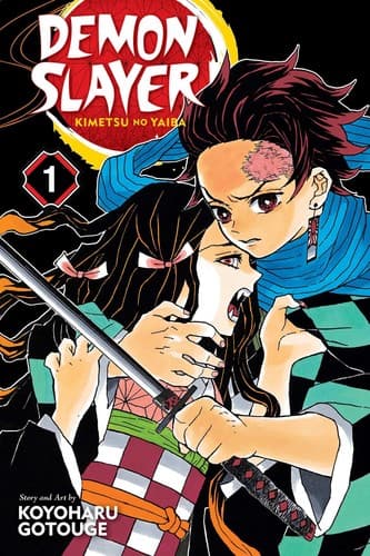 Demon Slayer Vol. 1